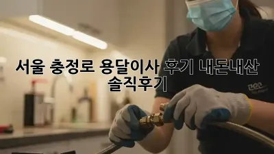 서울 충정로 용달이사 후기: 내돈내산 솔직후기!